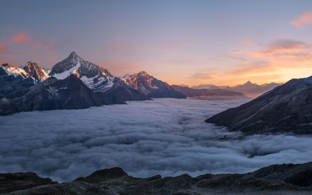 Bychelsea (Yoga Bears)