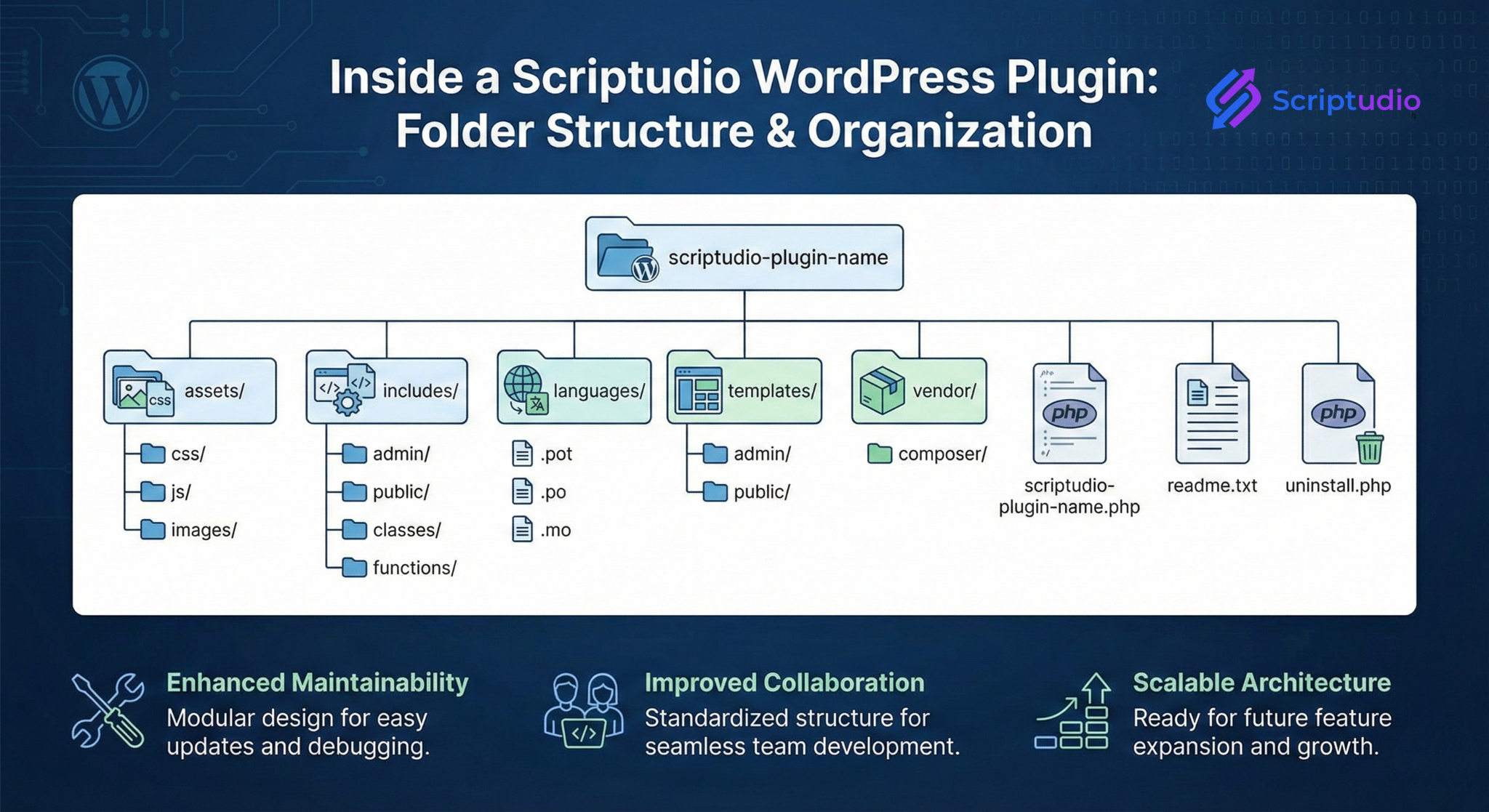 Chaos vs. Craftsmanship: Inside a Scriptudio WordPress Plugin